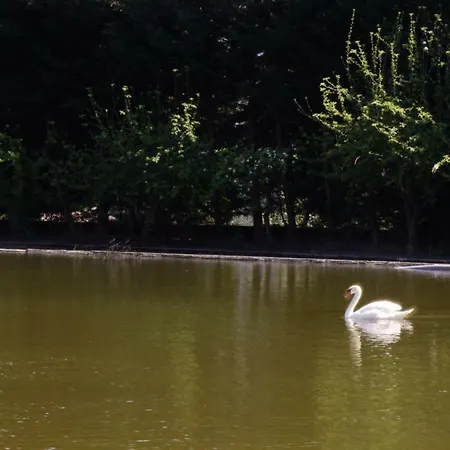 Casa Do Κατάλυμα σε φάρμα *