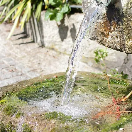 Casa Do Κατάλυμα σε φάρμα