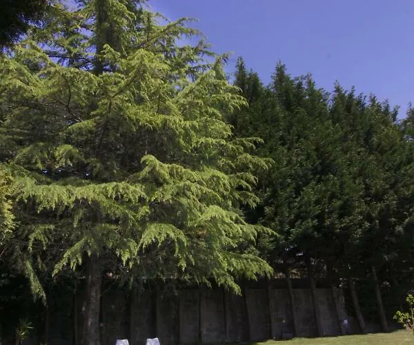 Alojamento de Turismo Rural Casa Do *