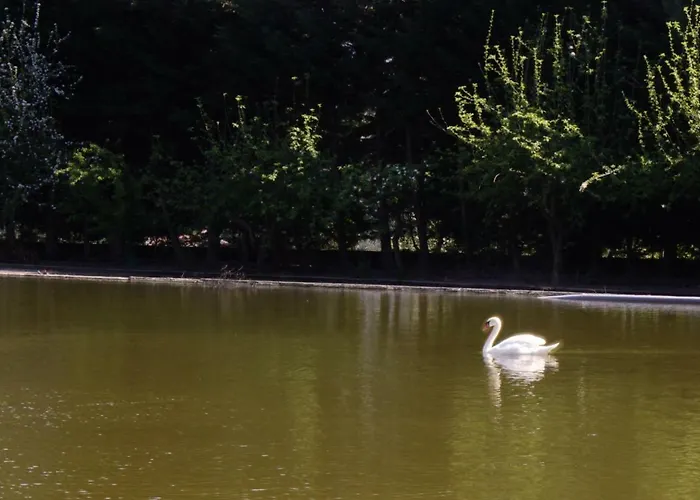 Casa Do Alojamento de Turismo Rural *