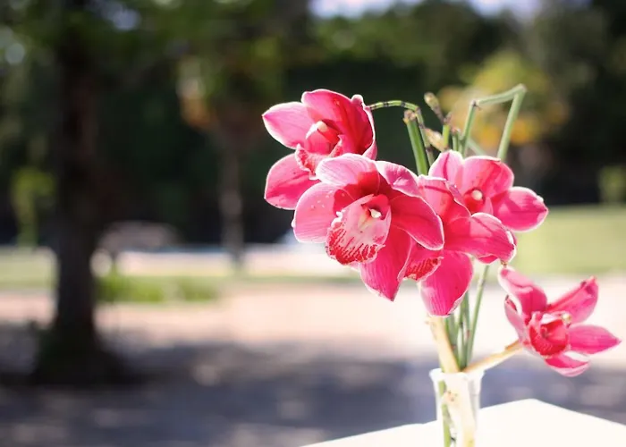 Casa Do 팜스테이 아마레스