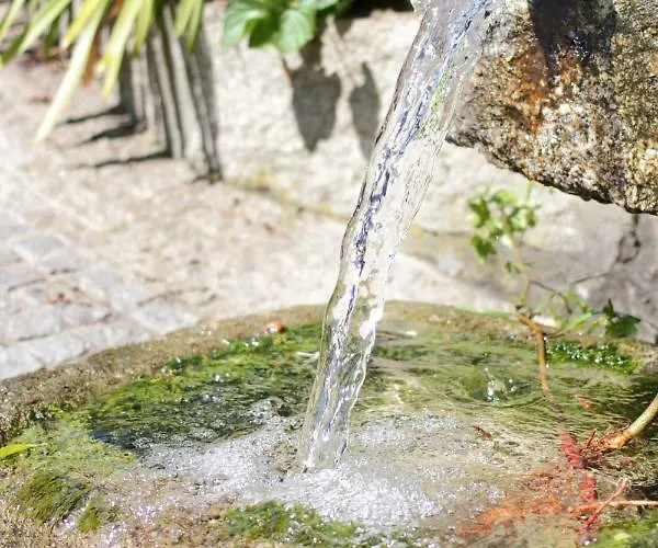 Casa Do 팜스테이